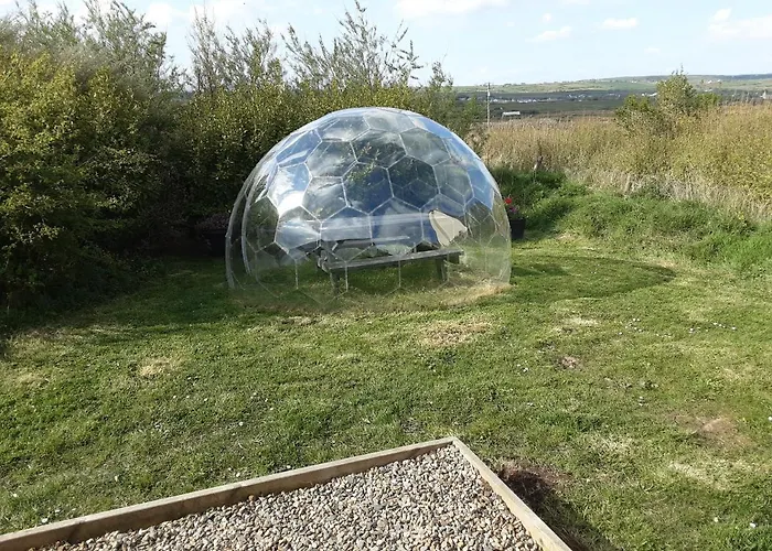 The Rainbow Pod